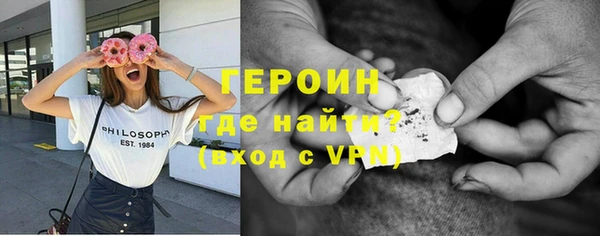 прущие грибы Лабытнанги