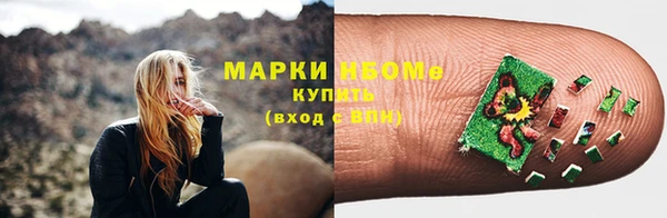 прущие грибы Лабытнанги