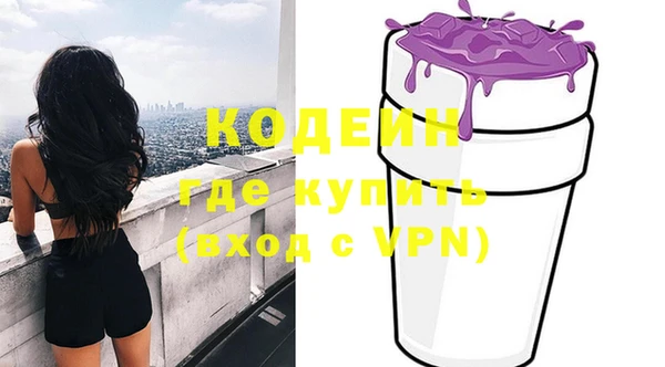молекула духа Ладушкин