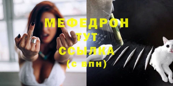 молекула духа Ладушкин