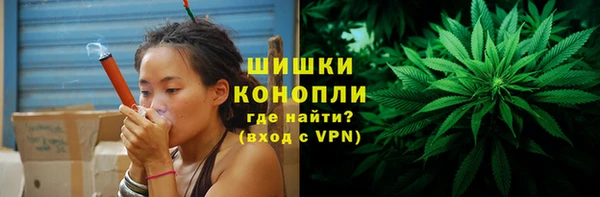 молекула духа Ладушкин