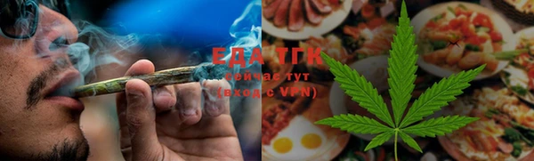 прущие грибы Лабытнанги