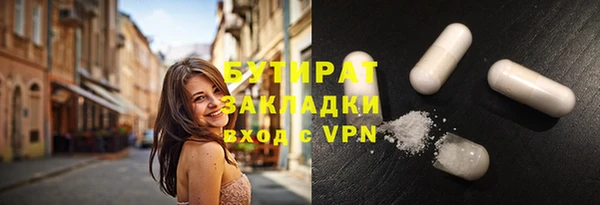 прущие грибы Лабытнанги