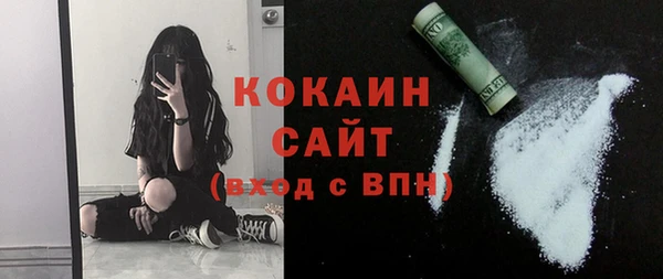 мет Лагань