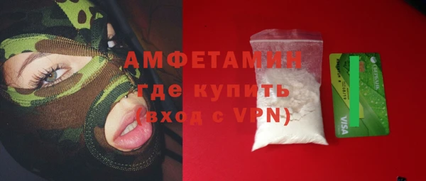 прущие грибы Лабытнанги