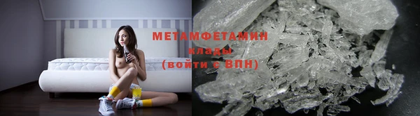 прущие грибы Лабытнанги