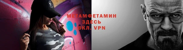 прущие грибы Лабытнанги