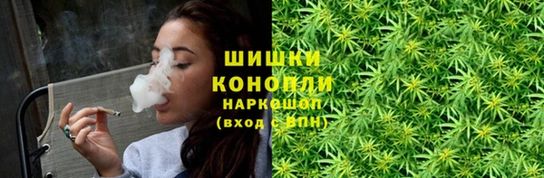 мет Лагань