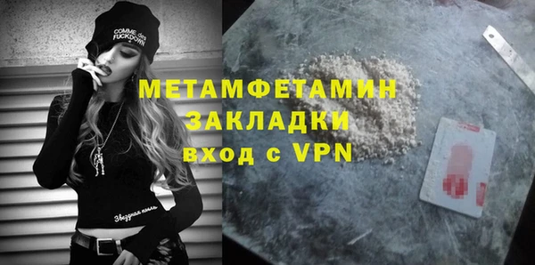 молекула духа Ладушкин