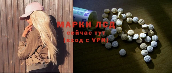 молекула духа Ладушкин