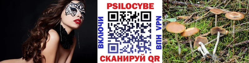 Псилоцибиновые грибы MAGIC MUSHROOMS  Купить где  Адыгейск 