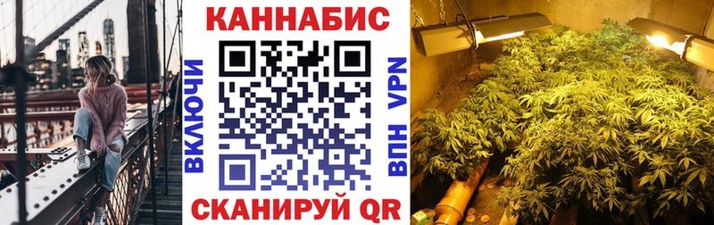 Купить закладки  Адыгейск  Бошки марихуана план 